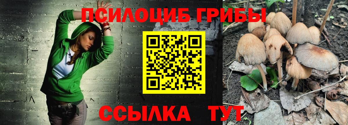 Галлюциногенные грибы MAGIC MUSHROOMS  Галлюциногенные грибы Magic Shrooms  Нижний Новгород  Вход с VPN 