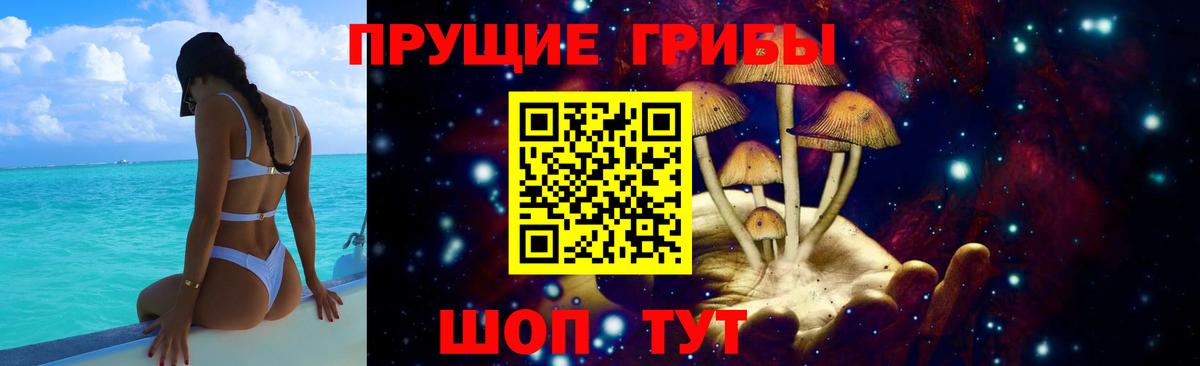 Псилоцибиновые грибы Magic Shrooms Нижний Новгород