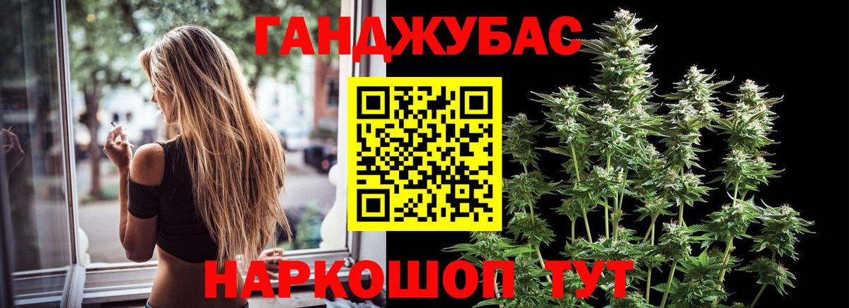 Бошки Шишки планчик Нижний Новгород